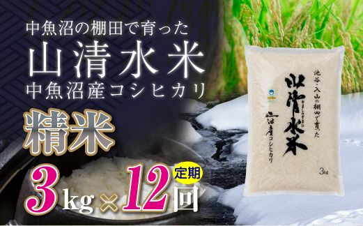 【定期便／全12回】精米3kg　新潟県魚沼産コシヒカリ「山清水米」十日町市 米