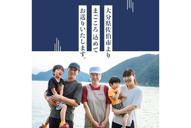 四代続く秘伝のたれ みりん干しセット (合計5種・48枚以上) 干物 ひもの 魚 さかな 鯵 あじ 鯖 さば かます 醤油 食べ比べ おかず 国産 詰め合わせ セット 大分県 佐伯市  【FT01】【田辺海産】