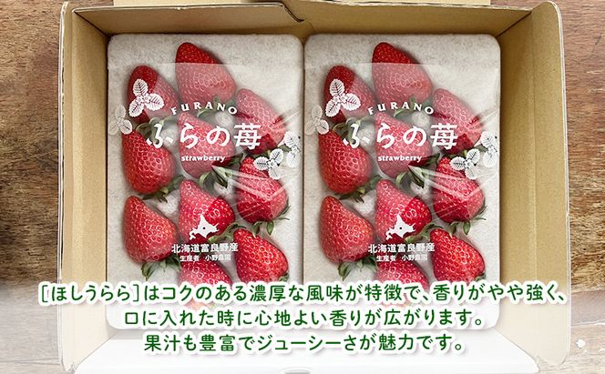 【2026年先行予約】 富良野産 いちご ほしうらら 小玉 10～12粒×2パック　［ フルーツ 果物 新鮮 贈り物 ギフト フルーツ 生いちご イチゴ 苺 大粒 甘い 道産 北海道 富良野 ］
