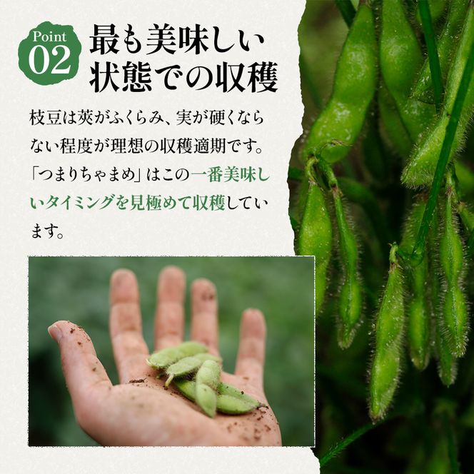 【令和8年産】 つまりちゃまめ 1.8kg（300g×6袋） 茶豆 枝豆 えだまめ 豆 野菜 新潟 十日町市