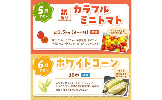 まつみやファーム獲れたて野菜・フルーツ5種定期便 ふるさと納税 果物 くだもの フルーツ ふるーつ 野菜 やさい 芋 穀物 紅はるか さつまいも いちご イチゴ 苺 ホワイトコーン 農家応援 生産者応援 送料無料　MY00022