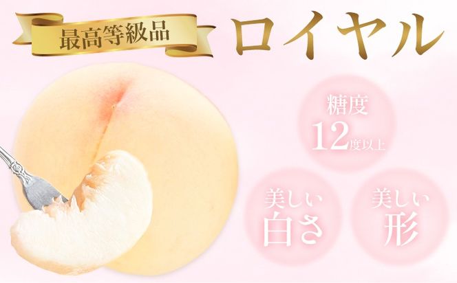 【2026年先行予約】岡山白桃 5玉 (1.5kg以上) 等級ロイヤル 化粧箱入り 株式会社山博 (中本青果)《2026年7月上旬-8月中旬頃出荷》岡山県 笠岡市 桃 もも フルーツ 旬 果物 国産 岡山県産 送料無料 冷蔵 化粧箱【配送不可地域あり】---Y-24a---