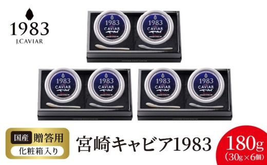 y{茧sz{LrA1983 (180g)  N027-YI027