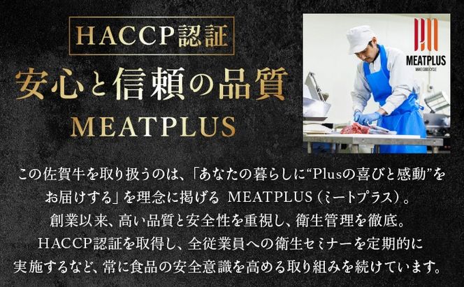 艶さし！【A4~A5】佐賀牛切り落とし 1kg (500g×2P)