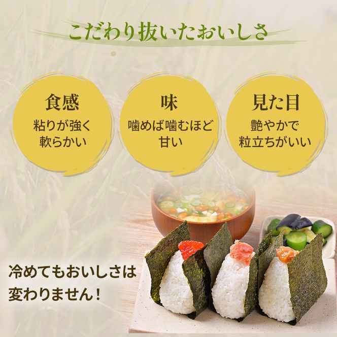 米 10kg 恵つくし 奇跡の一粒 5kg×2 令和7年産 お米 こめ コメ 新品種 