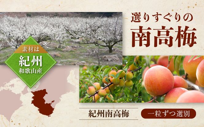 紀州南高梅 プレミアム 塩分約3％ 850g ［YM12］ 303446_DX90015