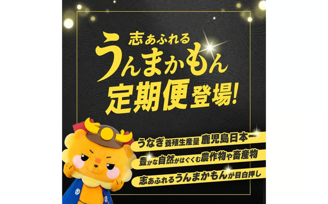 【定期便全6回】鹿児島県産黒毛和牛スライス・焼肉 食べ比べコース！志布志うんまか定期便 t0117-003