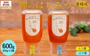 【はぜみつ・もちみつセット】岬のはちみつ2本セット IKTC002-2 
