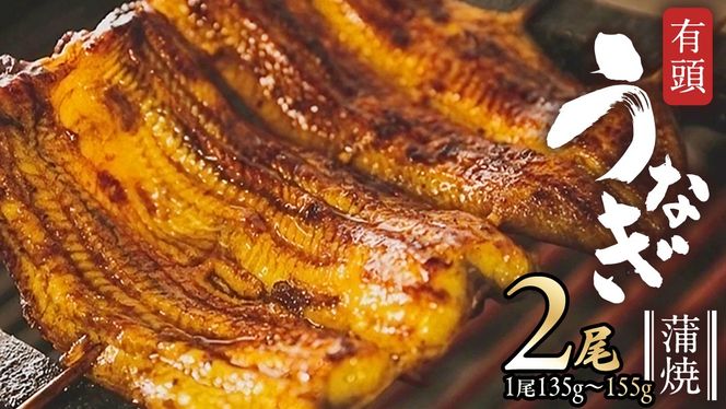 y錧vszY L V  × 2 i 1 135g ` 155g ȏj Ȃ EiM ypN̓ ƒp ґ Y { hV̓ ^ R t N [DQ007us]