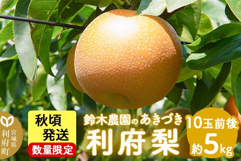個数限定 利府梨(あきづき)5kg(10玉前後) 鈴木梨園|06_sne-010501