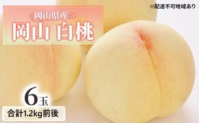 桃 2026年 先行予約 白桃 6玉入り 合計1.2kg前後 もも モモ 岡山県産 国産 フルーツ 果物 ギフト 