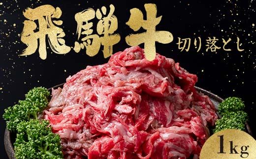 「肉の芸術品」飛騨牛切り落とし（モモ、肩、バラ）1kg（250g×4）【用途は様々！焼肉、BBQ、すき焼き、煮物、牛丼、炒め物など】 F4N-2858