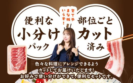 「高城の里」わくわく4.1kgセット(真空)≪みやこんじょ快速便≫_22-8401-s-R_(都城市) リピーター続出‼ 豚肉 都城産豚 高城の里 しゃぶしゃぶ バラ 焼肉 切り落とし 肩ローススライス ロース とんかつ  ブランド豚