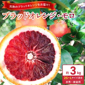 《2027年3月上旬～3月下旬頃に順次発送予定》【2027年先行予約】庄助農園のブラッドオレンジ・モロ約3kg(サイズ混合・厳選採果)_BK6021