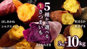 さつまいも 【 選べる品種 】 5kg / 10kg ( 箱込 ) サツマイモ さつま芋 芋 いも 野菜 焼き芋 スイーツ おやつ 国産 シルクスイート 紅はるか 紅あずま ふくむらさき ほしあかね