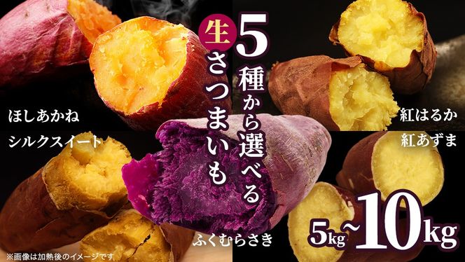 さつまいも 【 選べる品種 】 5kg / 10kg ( 箱込 ) サツマイモ さつま芋 芋 いも 野菜 焼き芋 スイーツ おやつ 国産 シルクスイート 紅はるか 紅あずま ふくむらさき ほしあかね