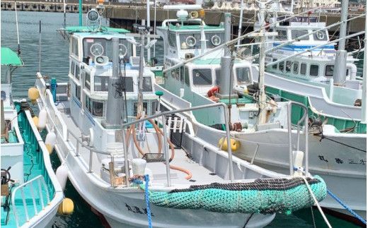 遊漁船「第八十八翔栄丸」 乗船利用クーポン 10000円分 / 釣り 海釣り 船釣り 釣り船 魚釣り フィッシング fishing 漁船 体験 チケット クーポン ジギング ジギング船 タイラバ トンジキ イカメタル アジング サビキ釣り イカ釣り キャスティング 三重県 紀宝町 【sem003】