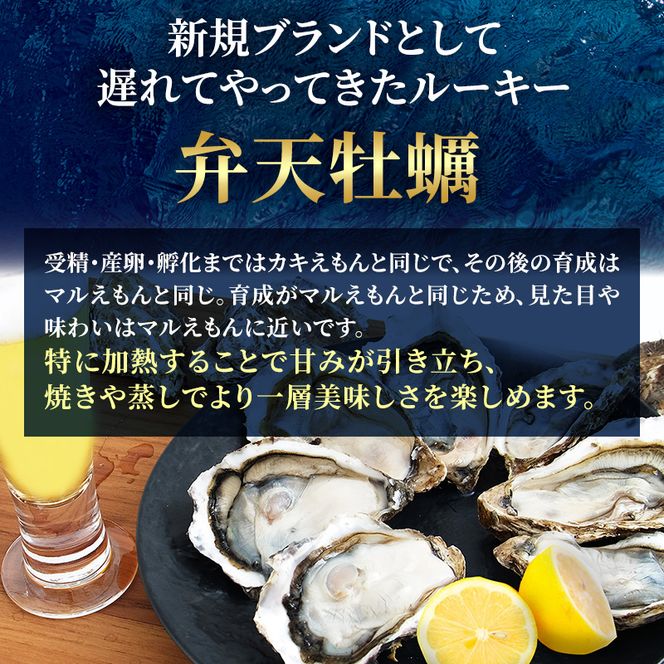 北海道 厚岸産 ブランド 殻付牡蠣 食べ比べ 弁天牡蠣 A3サイズ カキえもんLL サイズ 各6個 生食用 [ 牡蠣 カキ かき 生食 生食用 生牡蠣 食べ比べ 魚貝類 ブランド牡蠣 ]