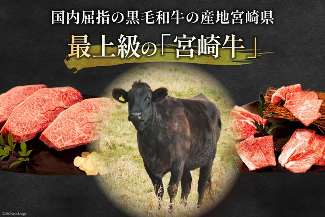 牛肉 宮崎牛 肩ロース焼肉 ミスジステーキ 計750g [ミヤチク 宮崎県 日向市 452061027] 肉 肩 ロース ミスジ ステーキ 冷凍