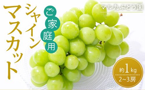 ym{szy2026Nx_s\zyƒpzVC}XJbg 1kgk2026N8{菇l 232238_CR05-PR