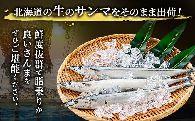 先行予約 産地直送 北海道 厚岸産 刺身用 鮮さんま 2kg（16～20尾） サンマ 秋刀魚 さんま 鮮魚 魚介類 海産 生さんま 