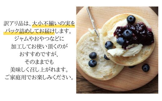 《 先行予約 》ブルーベリー 大小不揃い 約 1kg【2026年6月中旬頃より発送開始】 訳アリ B品 お得 甘い 甘酸っぱい 産地直送 おやつ デザート ジャム スムージー [BK005us]