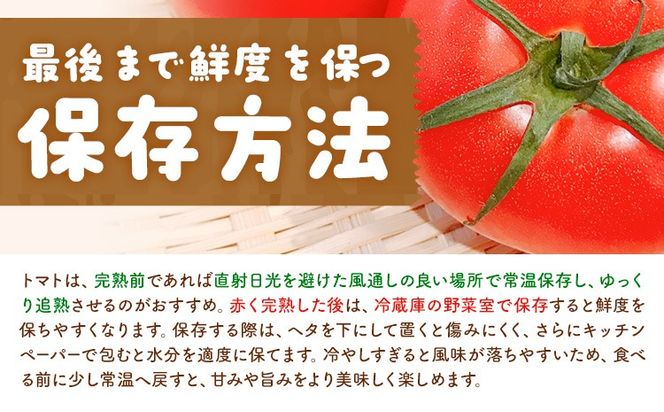 【大津アグリラボ】大玉トマト かれん 選べる内容量 約1kg 約2kg 株式会社中九州クボタ《10月上旬-6月下旬頃出荷》熊本県 大津町 トマト 大玉 野菜---大津アグリラボ】大玉トマト かれん 選べる内容量 約1kg 約2kg 株式会社中九州クボタ《10月上旬-6月下旬頃出荷》熊本県 大津町 トマト 大玉 野菜---oz_nkb_1_1kg---