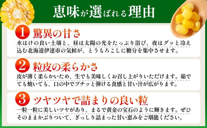 ＜2026年7月中旬〜順次お届け＞ スイートコーン・恵味（2Lサイズ）【dnk-003】とうもろこし コーン スイートコーン 野菜 伊達野菜 サラダ 北海道 伊達市