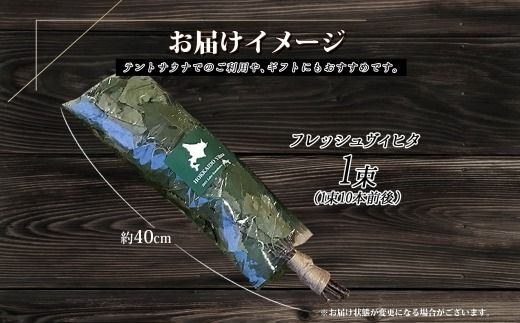 1510. フレッシュ 白樺 ヴィヒタ 1束 北海道 白樺 ヴィヒタ アロマ ウィスク インテリア サウナグッズ サウナ テントサウナ 北海道 弟子屈町