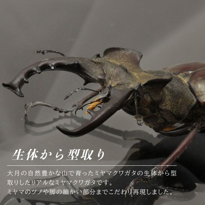 ミヤマクワガタのフィギュア(小)　置物　オブジェ　インテリア　24金　K24
