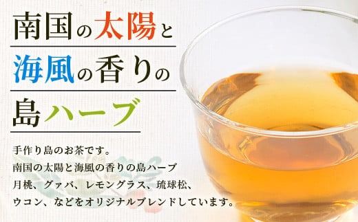 太陽の茶（12種類ブレンド）【 沖縄 石垣島 お茶 ハーブ ティー 無農薬 】HR-1