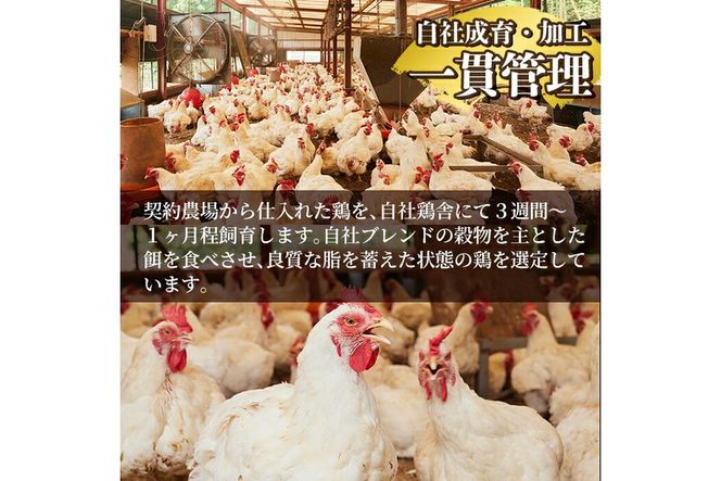 a832 ＜発送時期が選べる＞鹿児島の郷土料理 鶏刺し約1.1kg(モモ肉・ムネ肉混合約220g×5P)さしみしょうゆ付き鳥刺し【中村鶏肉店】姶良市 鳥刺し 鹿児島 鶏肉