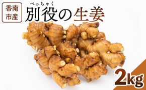 生姜 2kg 香南市産 別役の生姜 - 生姜 しょうが ショウガ ジンジャー 薬味 調味料 国産 株式会社べっちゃく 高知県 香南市 生姜焼き bc-0025