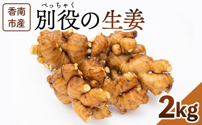 生姜 2kg 香南市産 別役の生姜 - 生姜 しょうが ショウガ ジンジャー 薬味 調味料 国産 株式会社べっちゃく 高知県 香南市 生姜焼き bc-0025