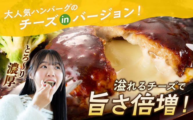 【A6-029】5種のチーズ入り鉄板焼ハンバーグ(デミグラスソース)16個