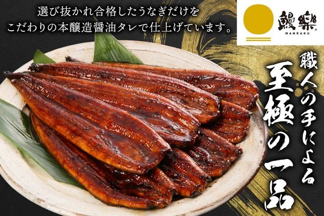 うなぎ 国産 ハーブ 鰻 3〜5尾 計500g 以上 [鰻楽 宮崎県 日向市 452061755] ふるさと納税 3尾 4尾 5尾 ウナギ 蒲焼 ハーブうなぎ 冷凍うなぎ ウナギ 化粧箱 鰻楽 宮崎県産 炭火焼き 九州 たれ タレ 山椒 タレ付き 小分け ◇
