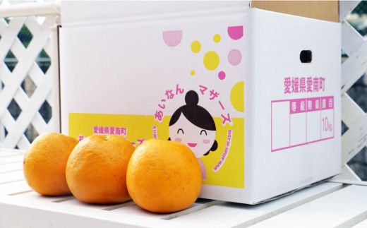 訳あり 紅 河内晩柑 大玉 （ 2L - 5L ） 10kg 7000円 みかん かわちばんかん 愛南ゴールド あいなん ゴールド 美生柑 文旦 グレープフルーツ 和製 幻 の 紅河内晩柑 紅晩柑 希少 家庭用 産地直送 国産 農家直送 糖度 果樹園 期間限定 数量限定 特産品 ゼリー ジュース 果汁 人気 限定 さわやか 甘い フルーツ 果物 柑橘 蜜柑 規格外 愛媛県 愛南町 あいなんマザーズ