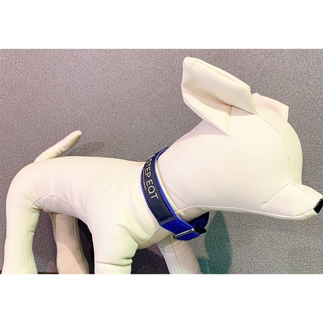 ペット用ネックバンド STEP EQT 転倒防止 ブルー Mサイズ 犬 猫 ペット 首輪 ペット用品 足腰サポート