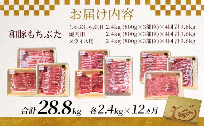 和豚もちぶた 12ヵ月定期便 計28.8kg しゃぶしゃぶ 焼肉 スライス 豚バラ 肩ロース モモ