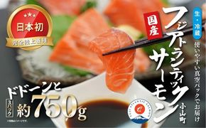 日本初 完全陸上養殖 フジアトランティックサーモン 生 ・冷蔵 3パック 約750g