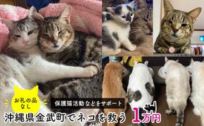 【お礼の品なし】沖縄県金武町でネコを救う　保護猫活動などをサポート（1万円）
