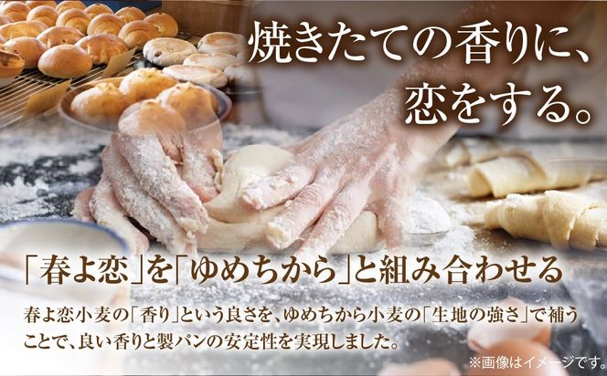 北海道産 「春よ恋」「ゆめちから」ブレンド小麦粉 パウダースノー（パン用強力粉）5kg MROBI010