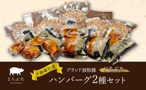 十勝幕別産ブランド放牧豚［どろぶた］ハンバーグ2種セット【 北海道 豚肉 ハンバーグ 惣菜 おかず ジャンボ 】 