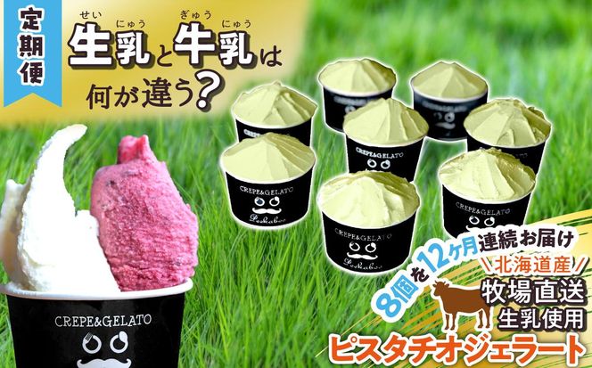 ＜12ヶ月定期便＞北海道産 生乳 ジェラート アイス 毎月8個 ピスタチオ