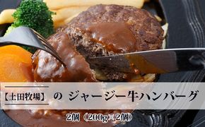 ジャージー牛使用！ ハンバーグ 2個（200g×2個） お肉 加工食品 惣菜 レトルト 