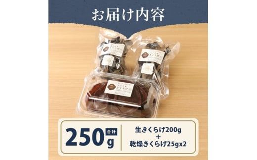 富士山の大自然が育てた「ふじやま きくらげ」(生きくらげ200g、乾燥きくらげ25gx2)