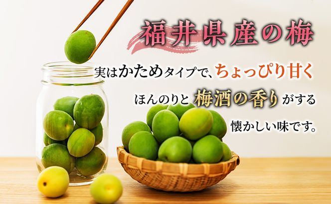 梅 梅酒の梅 10袋 セット 梅酒 おやつ おつまみ つまみ ジャム 手作り うめ ウメ 福井県 福井 