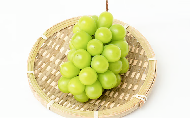 ぶどう 2026年 先行予約 シャイン マスカット 晴王 1房 700g以上 化粧箱入り マスカット ブドウ 葡萄 岡山県産 国産 フルーツ 果物 ギフト 高級ぶどう 大粒 種なし 贈答品 [№5735-1462]