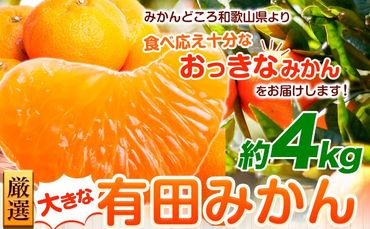 ＜先行予約＞厳選　大きな有田みかん2kg+120g（傷み補償分）【光センサー選果】 池田鹿蔵農園@日高町（池田農園株式会社）《11月中旬-2月中旬頃出荷》和歌山県 日高町【配送不可地域あり】---wsh_idn62_11c2c_24_8000_4kg---