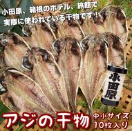 104-3085 鯵の干物 中小サイズ 10枚セット